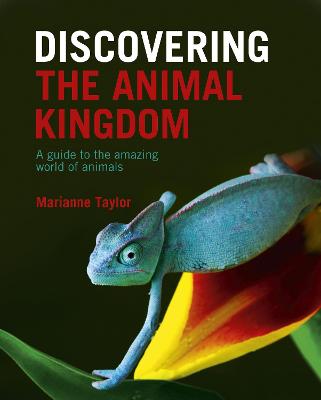 Discovering The Animal Kingdom: A guide to the amazing world of animals  from Summerfield Books