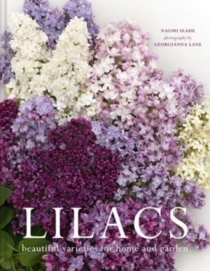 Lilacs Book cover