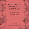 Wild Fruits, Berries, Nuts & Flowers: 101 Good Recipes for Using Them