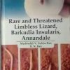 Rare and Threaterned Limbless lizard::Barkdia Insularis