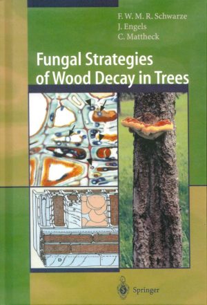 Fungal Strategies of Wood Decay in Trees
