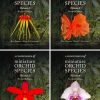 A Compendium of minature orchid species four volume set covers