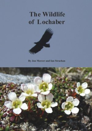 The Wildlife of Lochaber