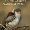 Birding in South Africa's National Parks