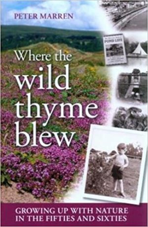 Where the wild thyme blew
