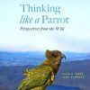 Thinking like a Parrot: Perspectives from the Wild
