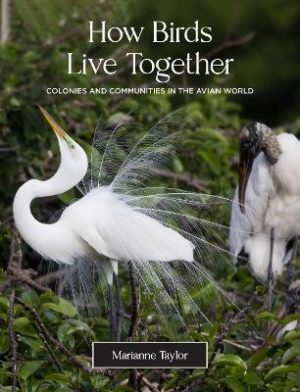 How Birds Live Together: Colonies and Communities in the Avian World