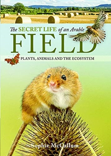 The Secret Life of an Arable Field : Plants, Animals and the Ecosystem from  Summerfield Books