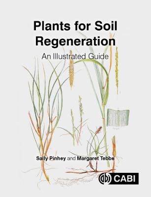Plants for Soil Regeneration: An Illustrated Guide from Summerfield Books