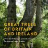 Great Trees of Britain and Ireland: Over 70 of the best ancient avenues, forests and trees to visit
