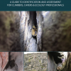 Bat Roosts in Rock book cover