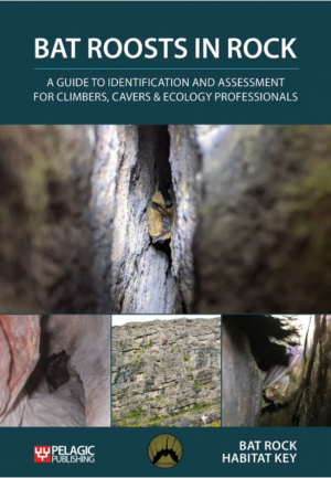 Bat Roosts in Rock book cover