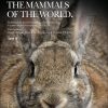 Handbook of the Mammals of the World, Vol 6 book cover