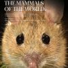 Handbook of the Mammals of the world Volume 7 Rodents II book cover