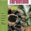 The Guide to Owning a Tarantula