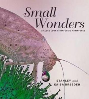 Small Wonders
