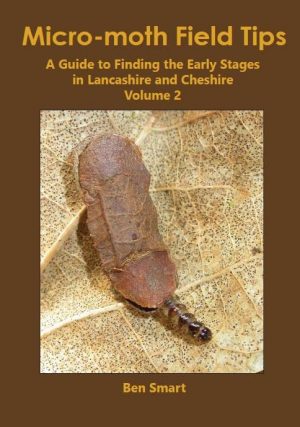 micro-moth_field tip volume 2 book cover