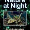 Nature at Night