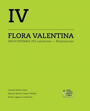 Flora Valentina 4 book cover