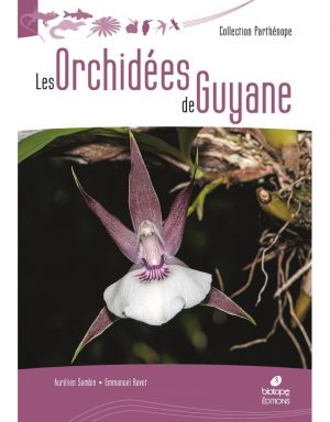 Les Orchidées de Guyane book cover