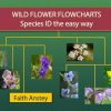 Wild Flower Flowcharts book cover