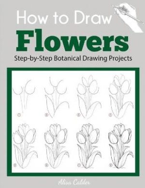 How to Draw Flowers: Step-by-Step Botanical Drawing Projects