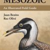 Birds of the Mesozoic book cover