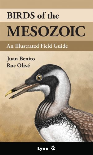 Birds of the Mesozoic book cover