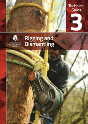 echnical Guide 3: Rigging and Dismantling book cover