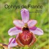 Ophrys de France,