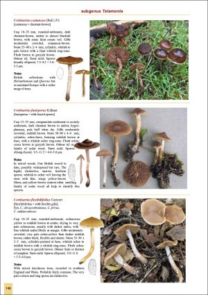 Inside pages of The Genus Cortinarius in Britain