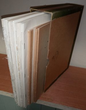 Flora Europaea Notulae Systematicae