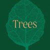 Trees: From Root to Leaf