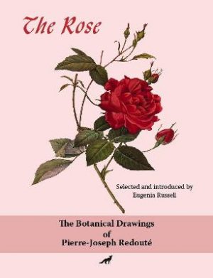 The Rose: the botanical drawings of Pierre-Joseph Redoute