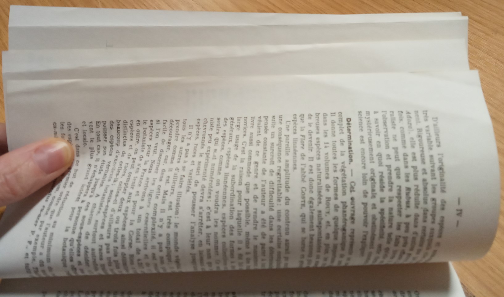 Les Quatre Flores de France - Image 4