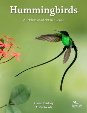 Hummingbirds book cover