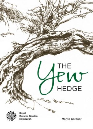 The Yew Hedge