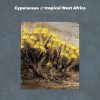 Cyperaceae of tropical West Africa book cover