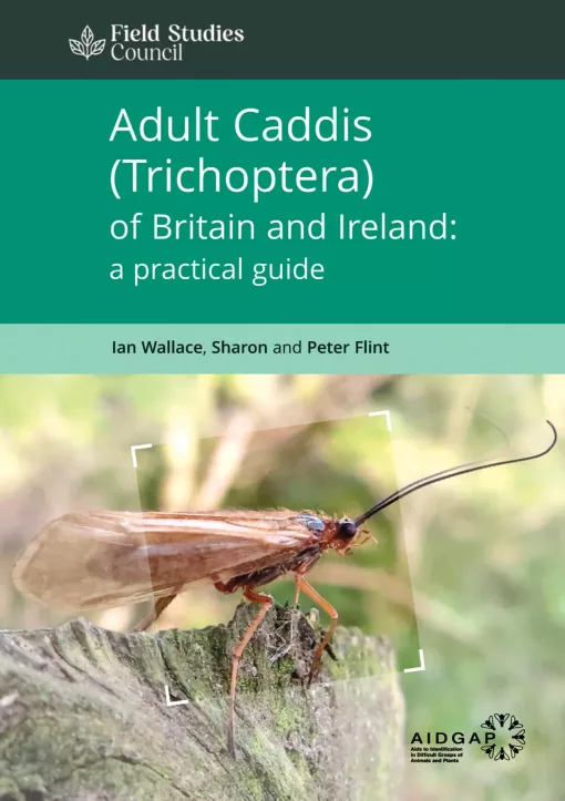 Adult Caddis Book Cover
