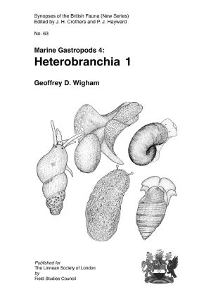 Marine gastropods 4 book cover