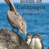 A Pocket Guide to Birds of Galapagos