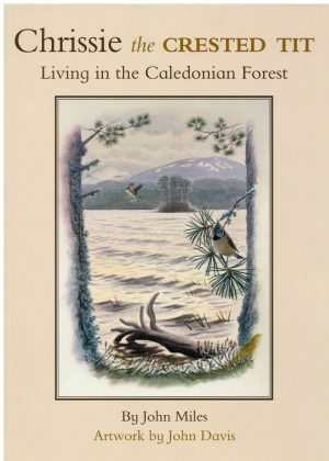 Chrissie the Crested Tit: Living in the Caledonian Forest