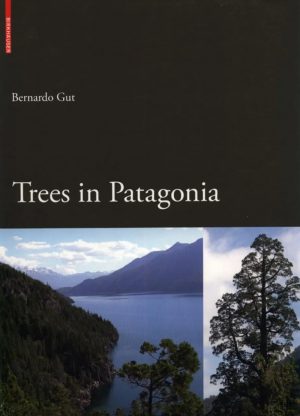Trees in Patagonia