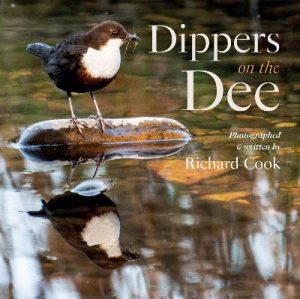 Dippers on the Dee