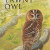 The Tawny Owl Book cover