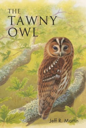 The Tawny Owl Book cover