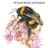 Pocket Guide to the Bumblebees of Great Britain and Ireland book cover