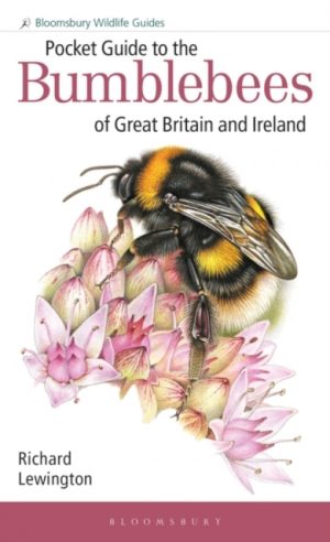 Pocket Guide to the Bumblebees of Great Britain and Ireland book cover