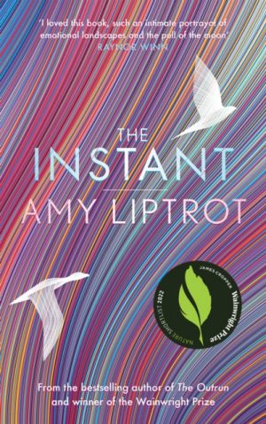 The Instant book cover