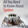 All You Need to Know About Spiders